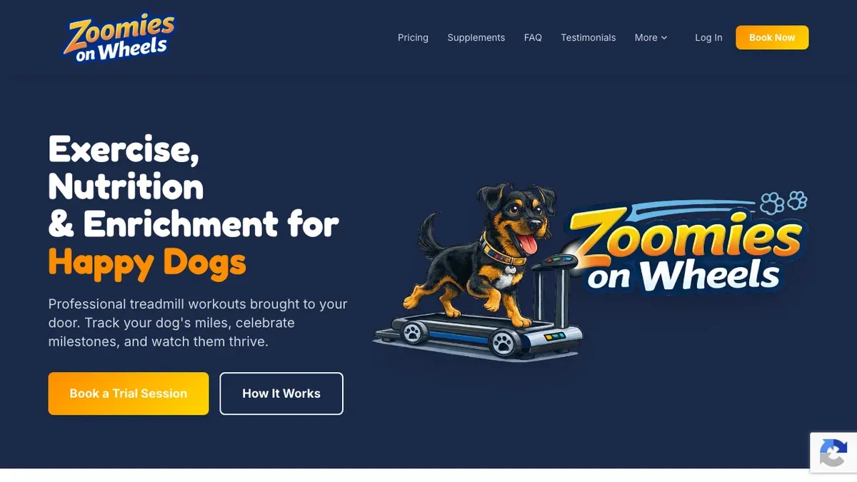 Zoomies on Wheels website
